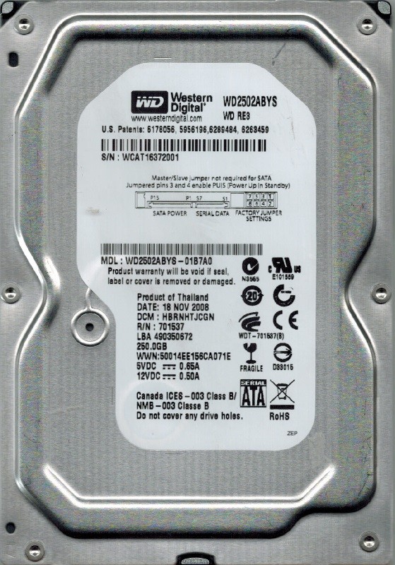 Western Digital WD2502ABYS-01B7A0 250GB DCM: HBRNHTJCGN