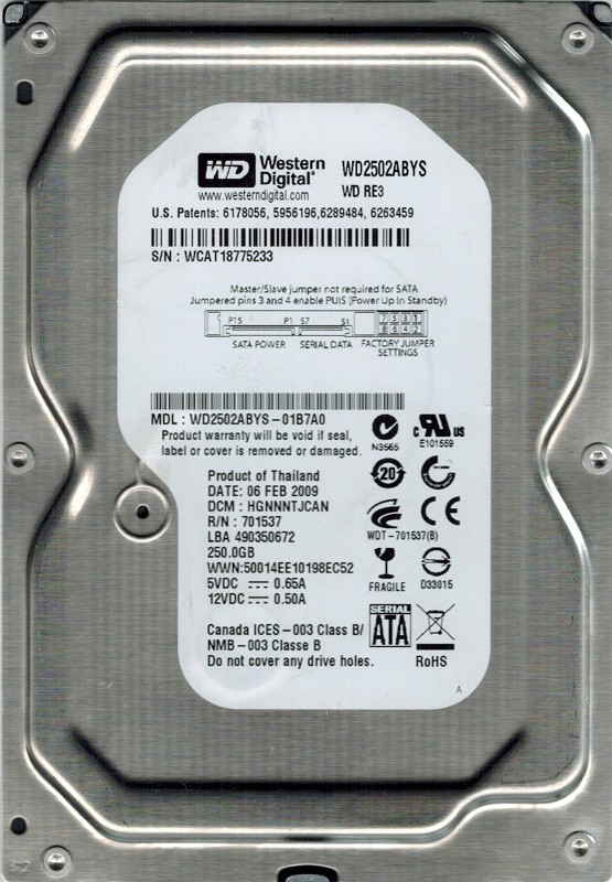 Western Digital WD2502ABYS-01B7A0 250GB DCM: HGNNNTJCAN