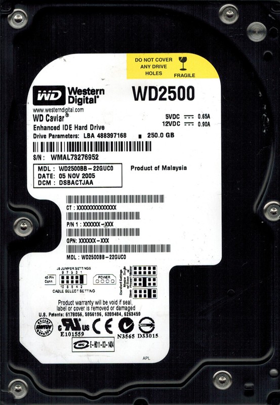 Western Digital 250GB WD2500BB-22GUC0 DCM: DSBACTJAA